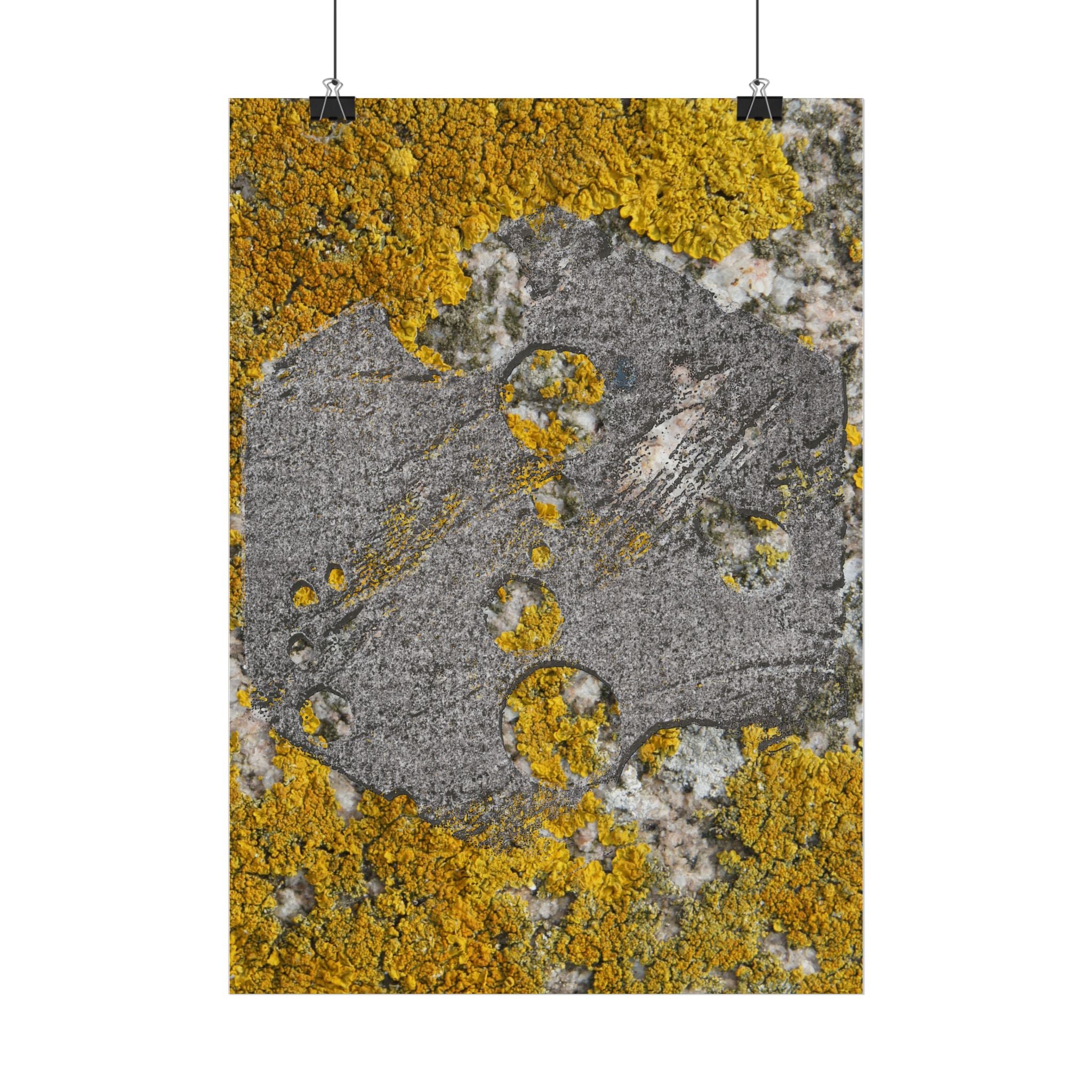 Lichen Texture Poster — Yellow & Gray Nature Wall Art