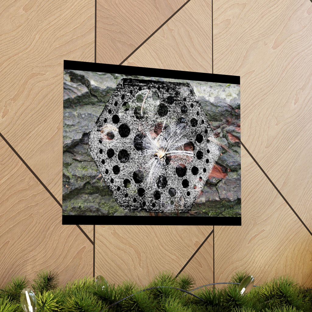 Dandelion Seed Macro Poster — Matte Horizontal Nature Wall Art