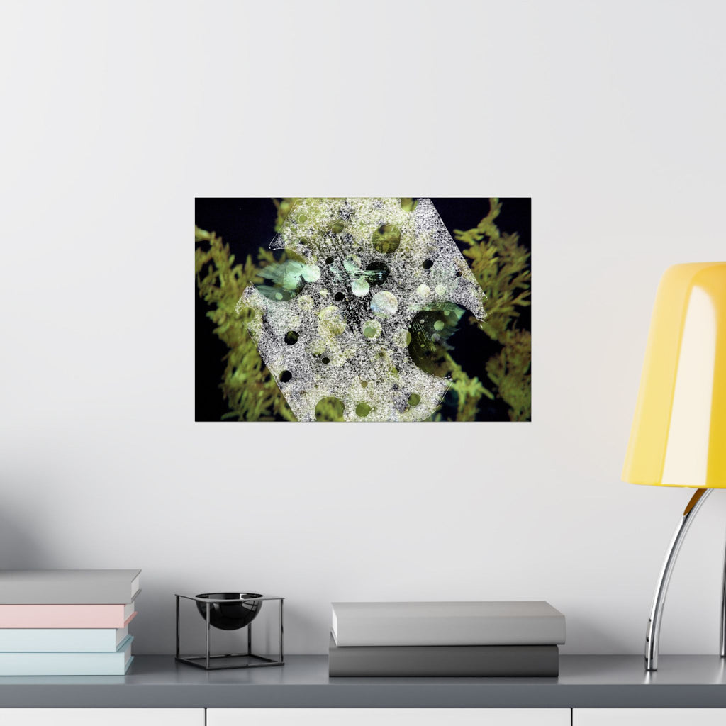 Abstract Nature Matte Horizontal Poster — Moss & Stone Texture Wall Art