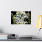 Abstract Nature Matte Horizontal Poster — Moss & Stone Texture Wall Art