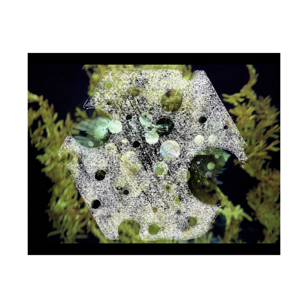 Abstract Nature Matte Horizontal Poster — Moss & Stone Texture Wall Art