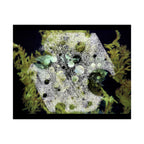 Abstract Nature Matte Horizontal Poster — Moss & Stone Texture Wall Art