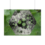 Horizontal Poster — Green Hexagon Botanical Abstract Wall Art