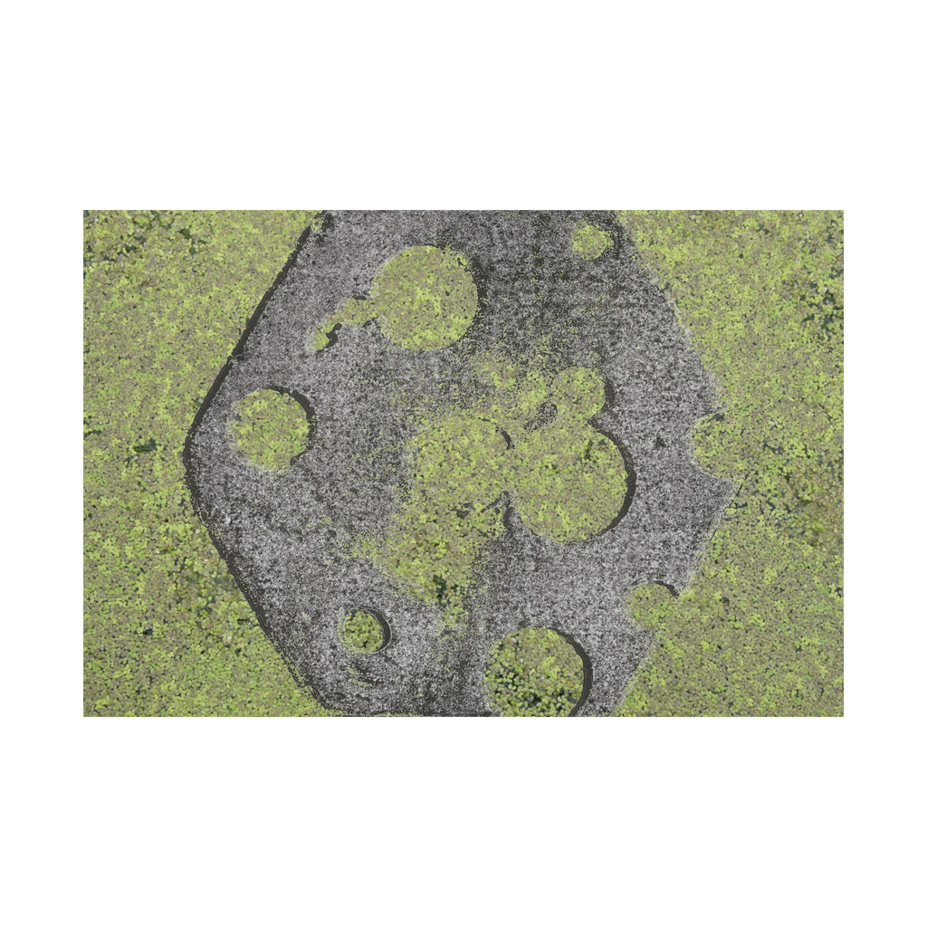 Matte horizontale poster met mosbegroeide maankrater — Botanisch groene maanwanddecoratie 