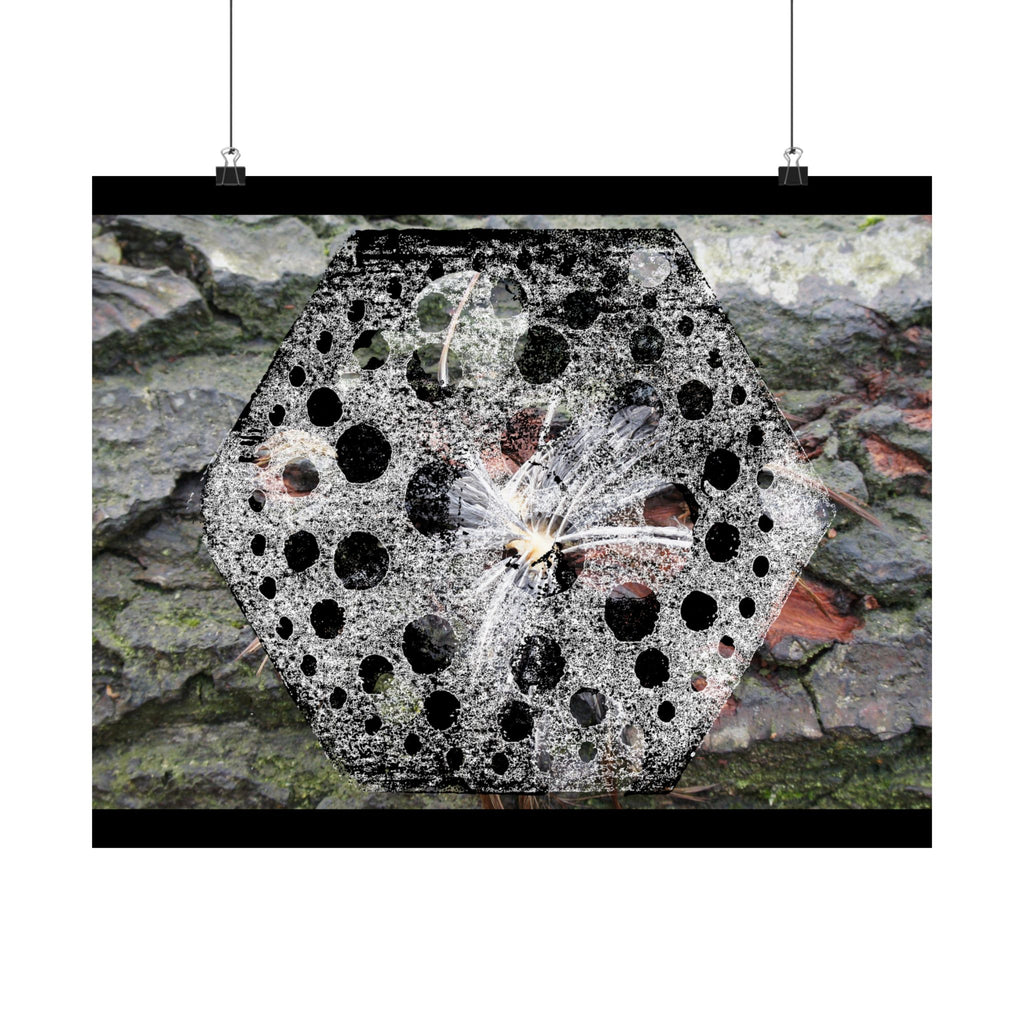 Dandelion Seed Macro Poster — Matte Horizontal Nature Wall Art