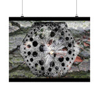Dandelion Seed Macro Poster — Matte Horizontal Nature Wall Art