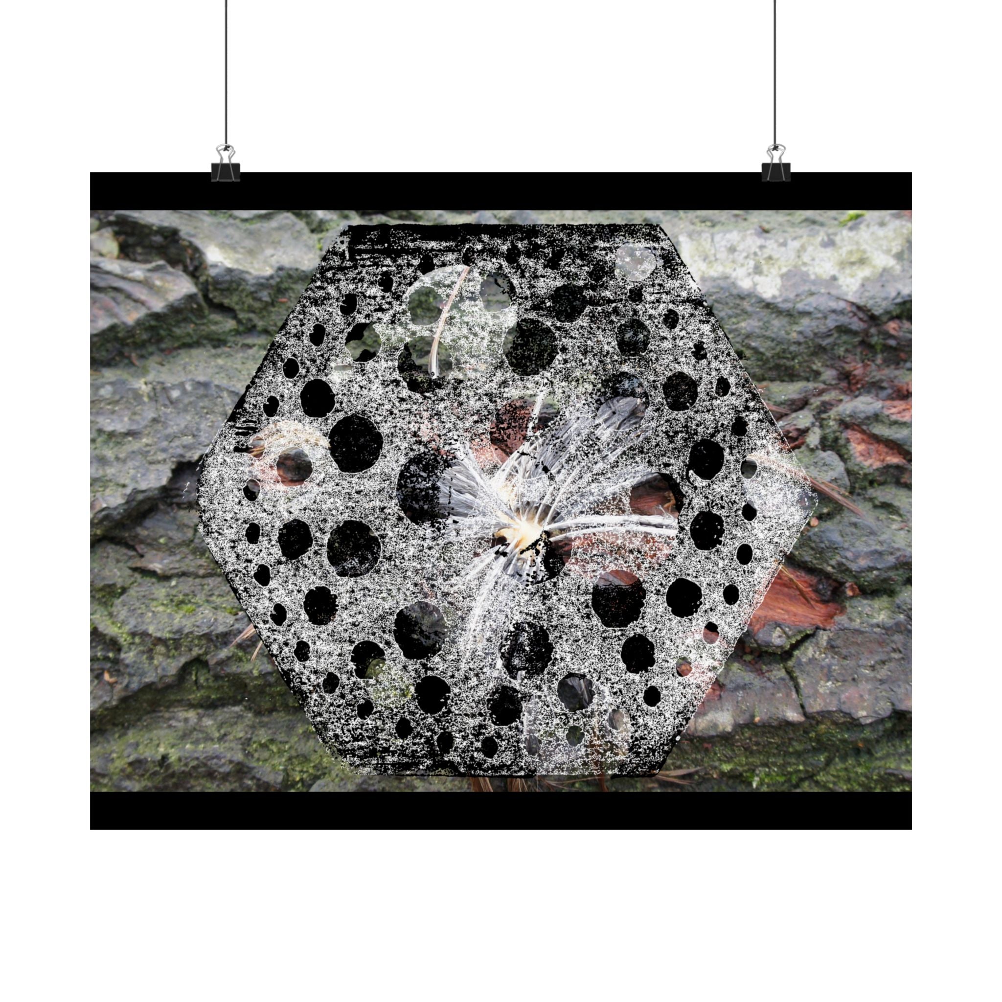 Dandelion Seed Macro Poster — Matte Horizontal Nature Wall Art