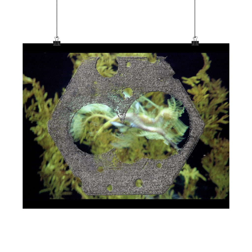 Abstracte poster met organische textuur en matte afwerking | Horizontale wanddecoratie, geïnspireerd op de natuur 