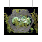 Abstracte poster met organische textuur en matte afwerking | Horizontale wanddecoratie, geïnspireerd op de natuur 