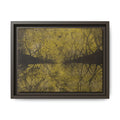 Framed Canvas Art - Golden Forest Canopy Matte Print - no 46