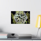Abstract Green Bubble Art Poster — Matte Horizontal Wall Print
