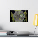 Abstract Botanical Moon Matte Horizontal Poster
