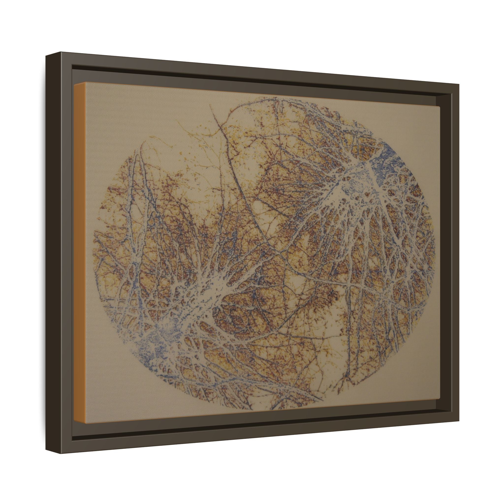 Botanical Orbit Matte Canvas Framed Wall Art - no 38