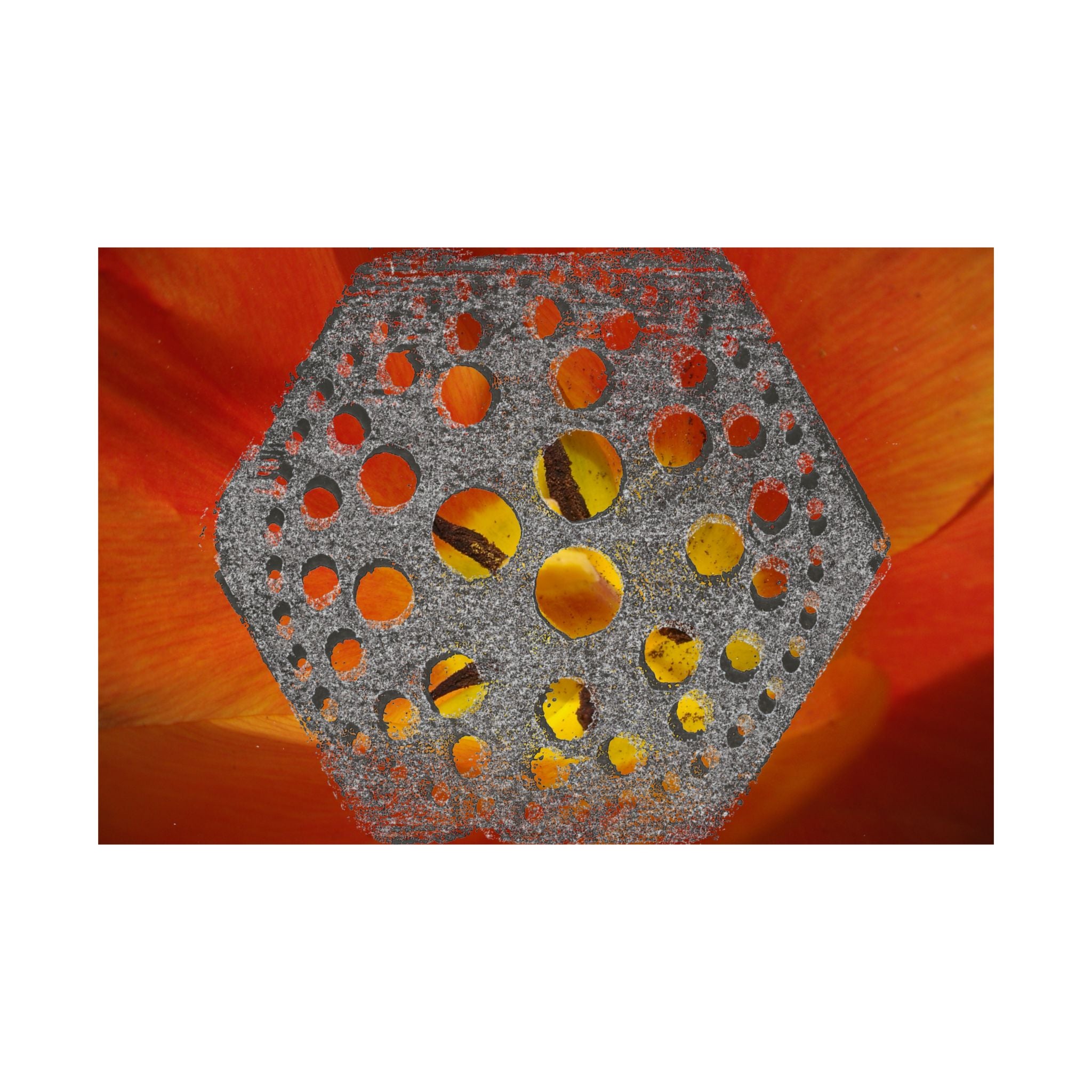 Abstracte matte poster met zeshoekig gatenpatroon | Oranje bloemenachtergrond 