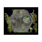 Abstract Botanical Moon Matte Horizontal Poster