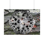 Dandelion Seed Macro Poster — Horizontal Nature Wall Art
