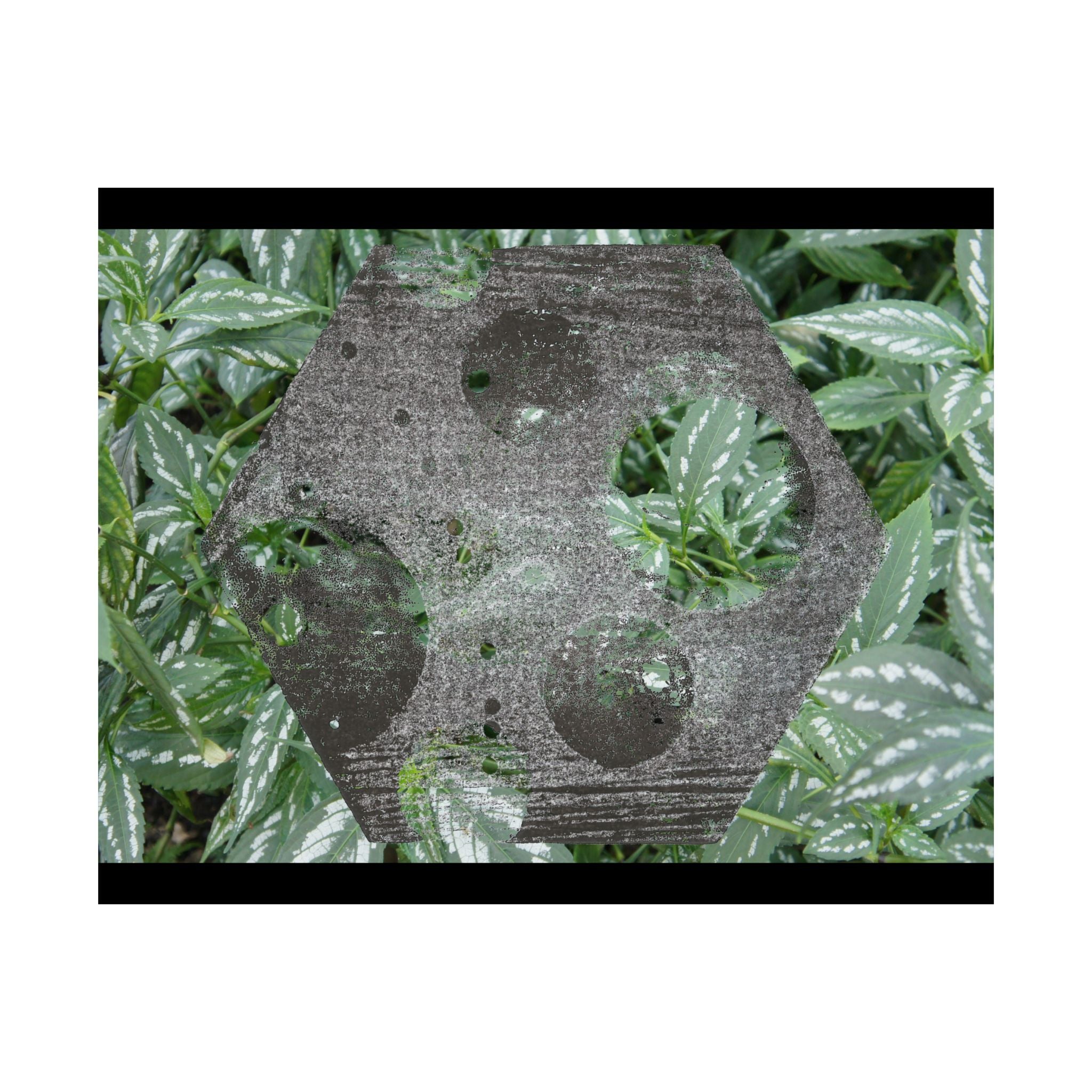 Botanical Hexagon Print Poster — Green Leaf Matte Horizontal Wall Art