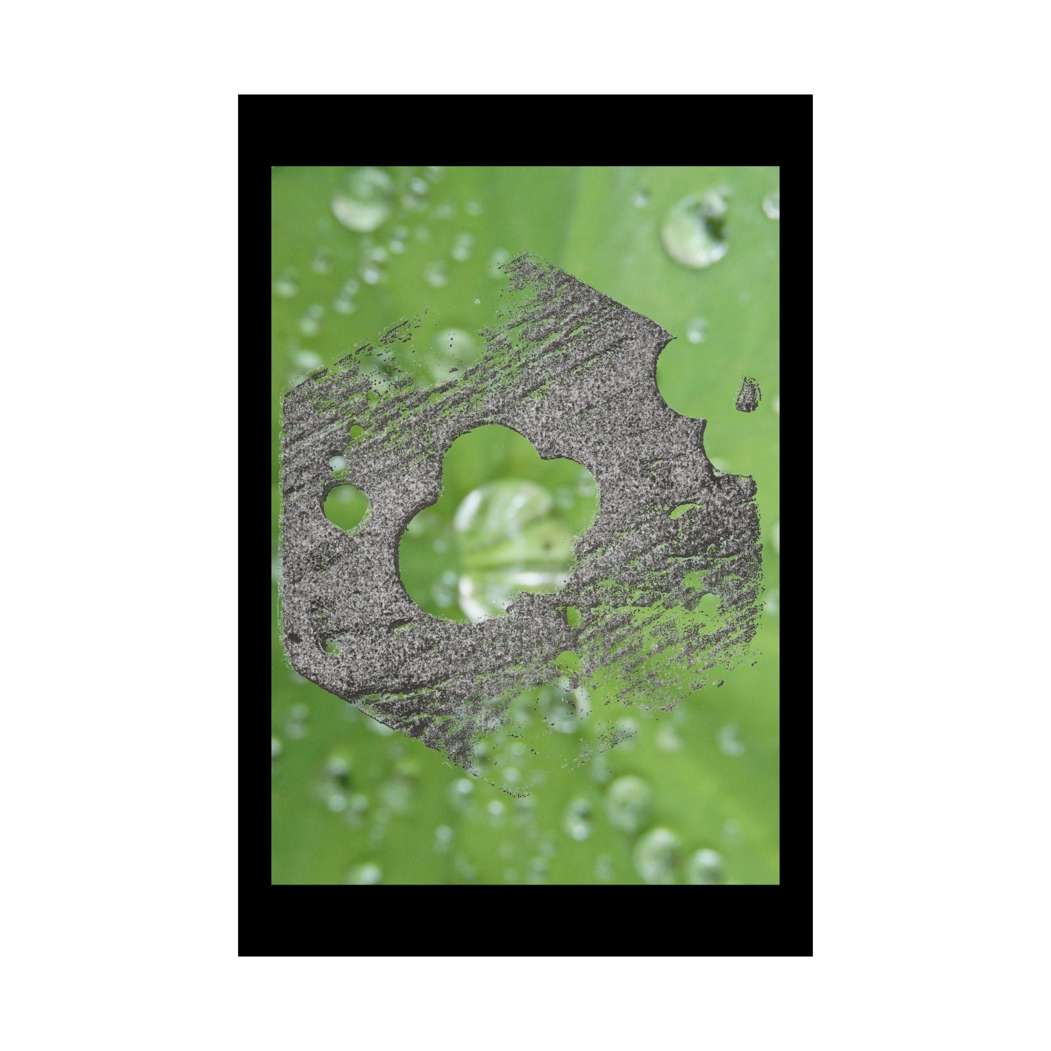 Water Droplet Leaf with Wood Texture Poster | Matte Vertical Poster