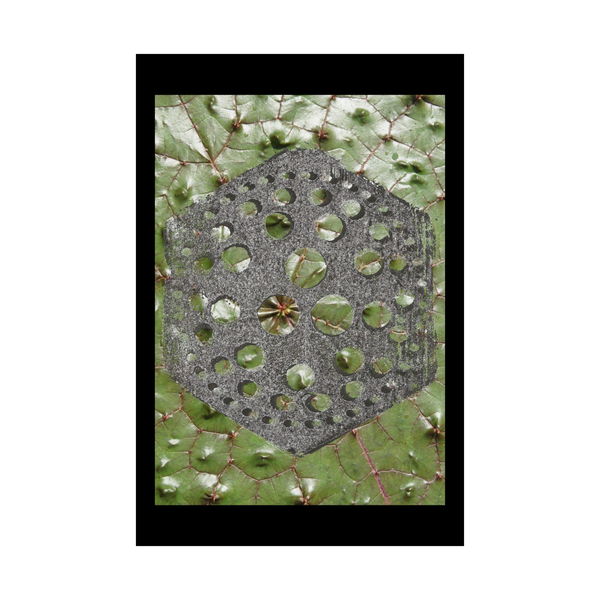 Geometric Hexagon Pattern Matte Poster | Botanical Leaf Texture