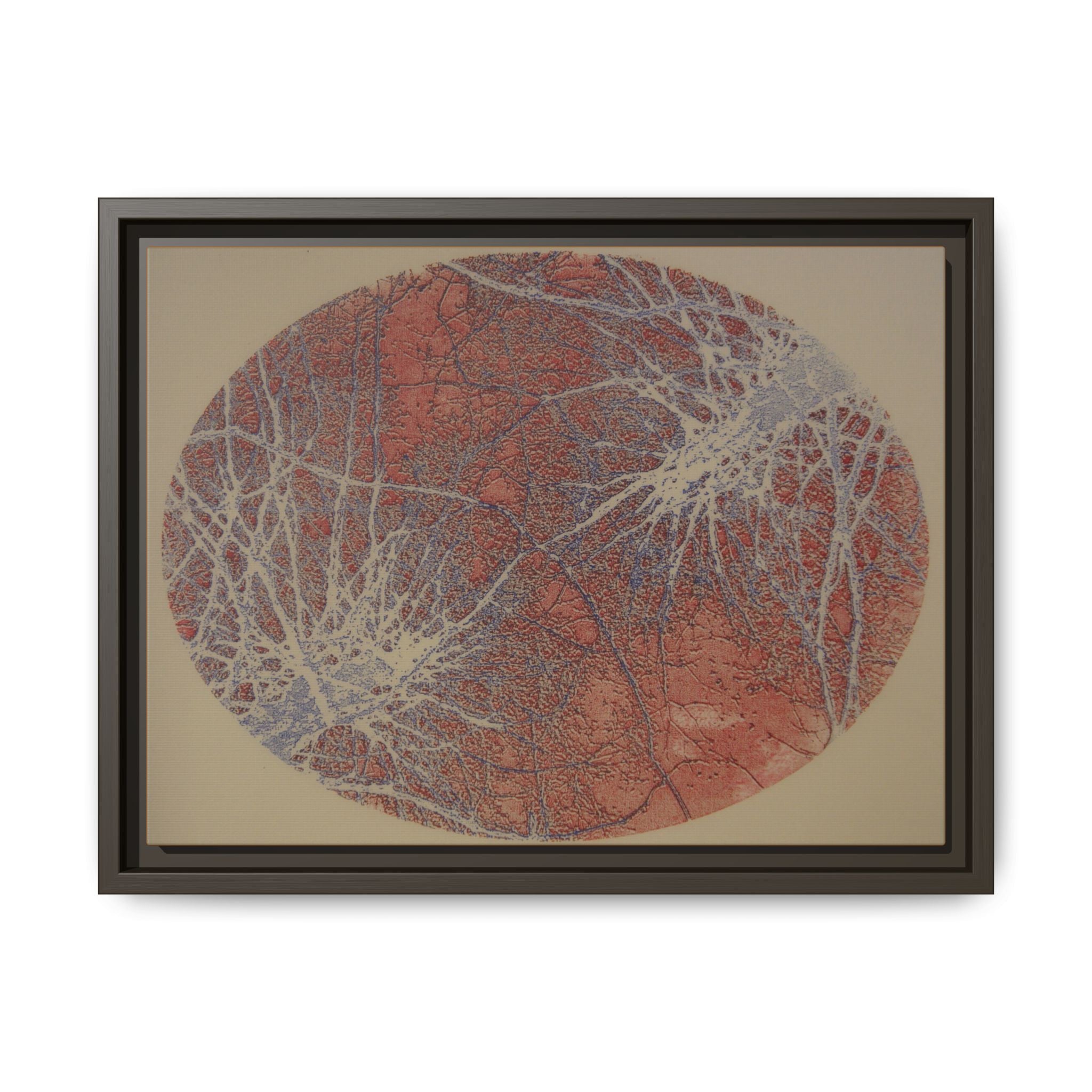Abstract Botanical Circle Matte Canvas Framed Art — Multi‑Color - no 49