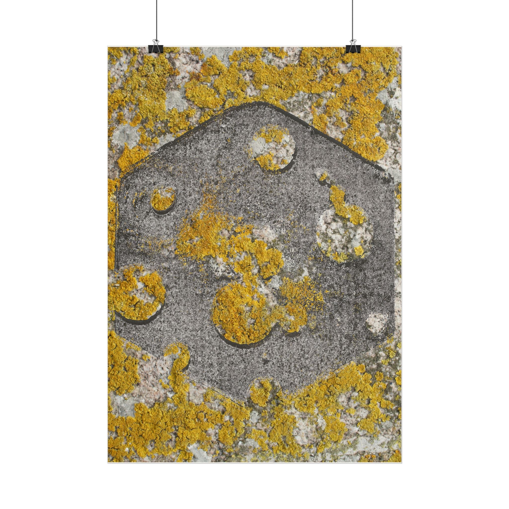 Lichen Texture Poster — Yellow & Gray Abstract Wall Art (Vertical)