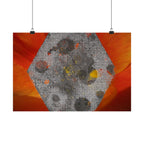 Abstract Hexagon Art Poster — Red Orange Matte Horizontal Print