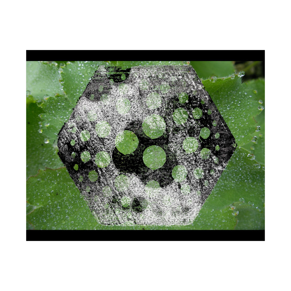 Matte Horizontal Poster — Green Hexagon Botanical Abstract Wall Art