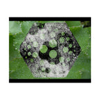 Matte Horizontal Poster — Green Hexagon Botanical Abstract Wall Art