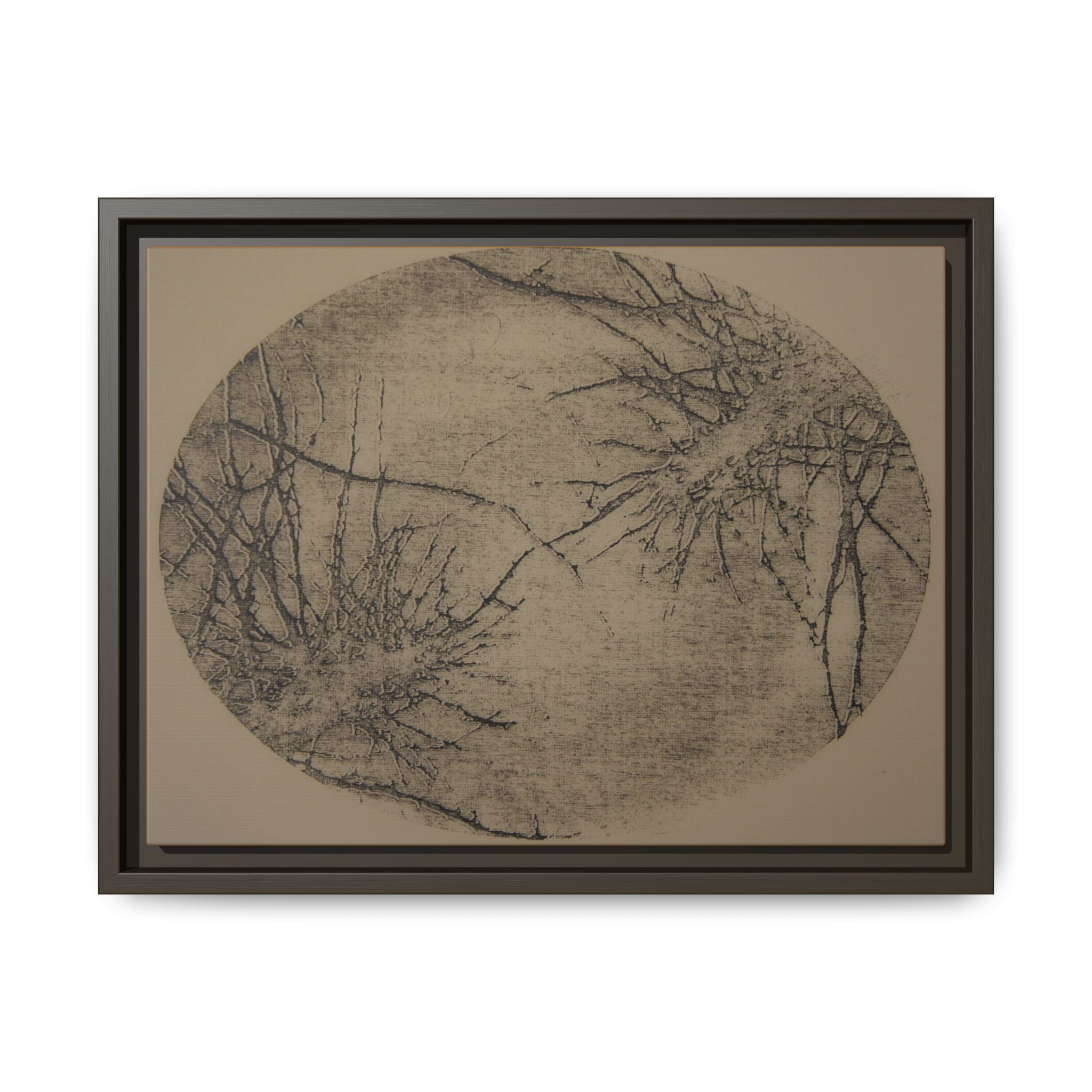 Abstract Botanical Matte Canvas Framed Wall Art - no 36
