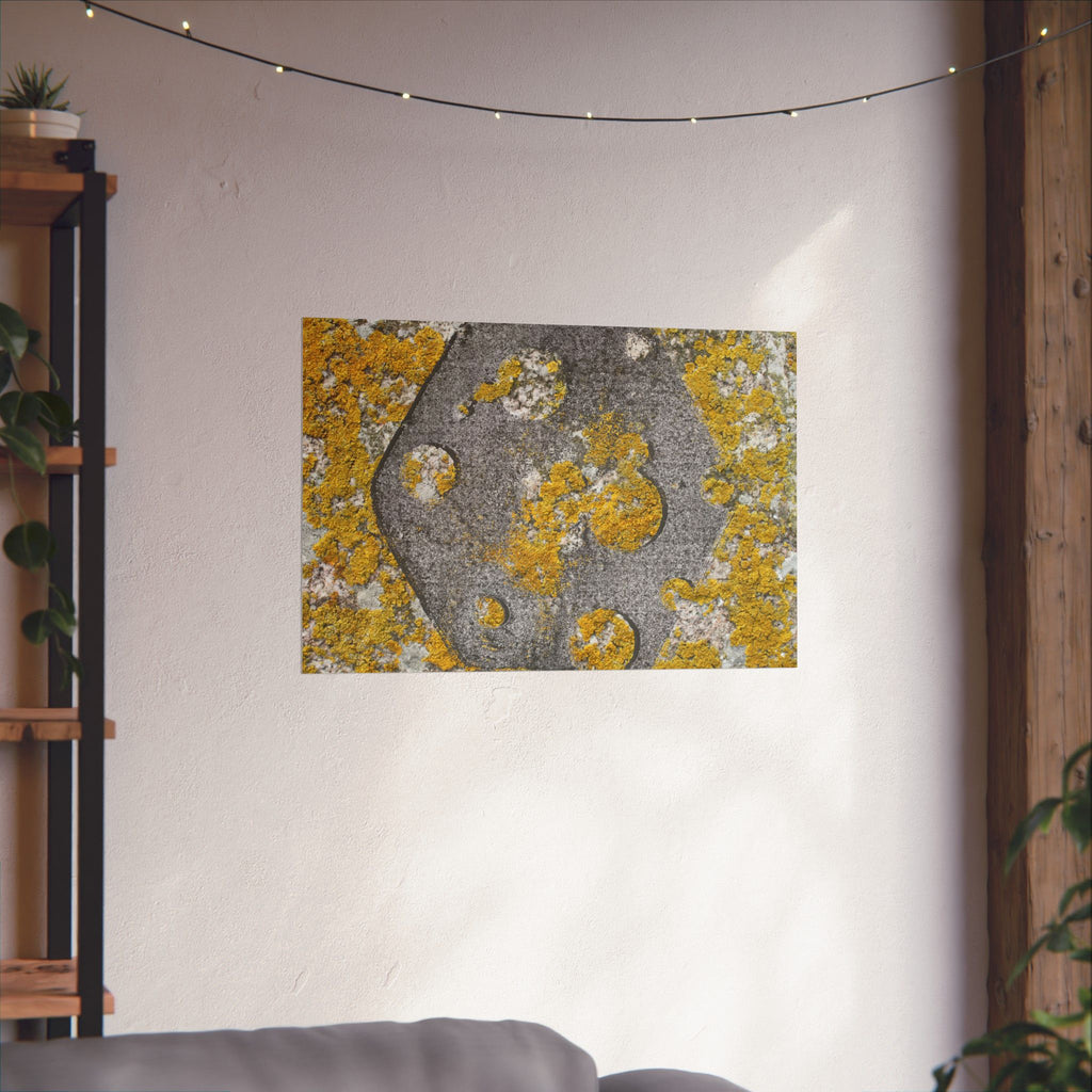 Abstracte poster met korstmosstructuur en matte afwerking — Geel &amp; Grijs Botanische Muurdecoratie 
