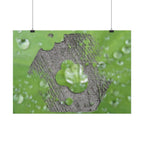 Dewy Leaf Macro Horizontal Posters | Nature Water Droplet Wall Art
