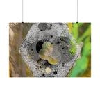 Abstract Hex Bolt Close-Up Matte Poster — Industrial Nature Wall Art