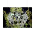 Horizontal Poster — Abstract Marine Coral Hexagon Art