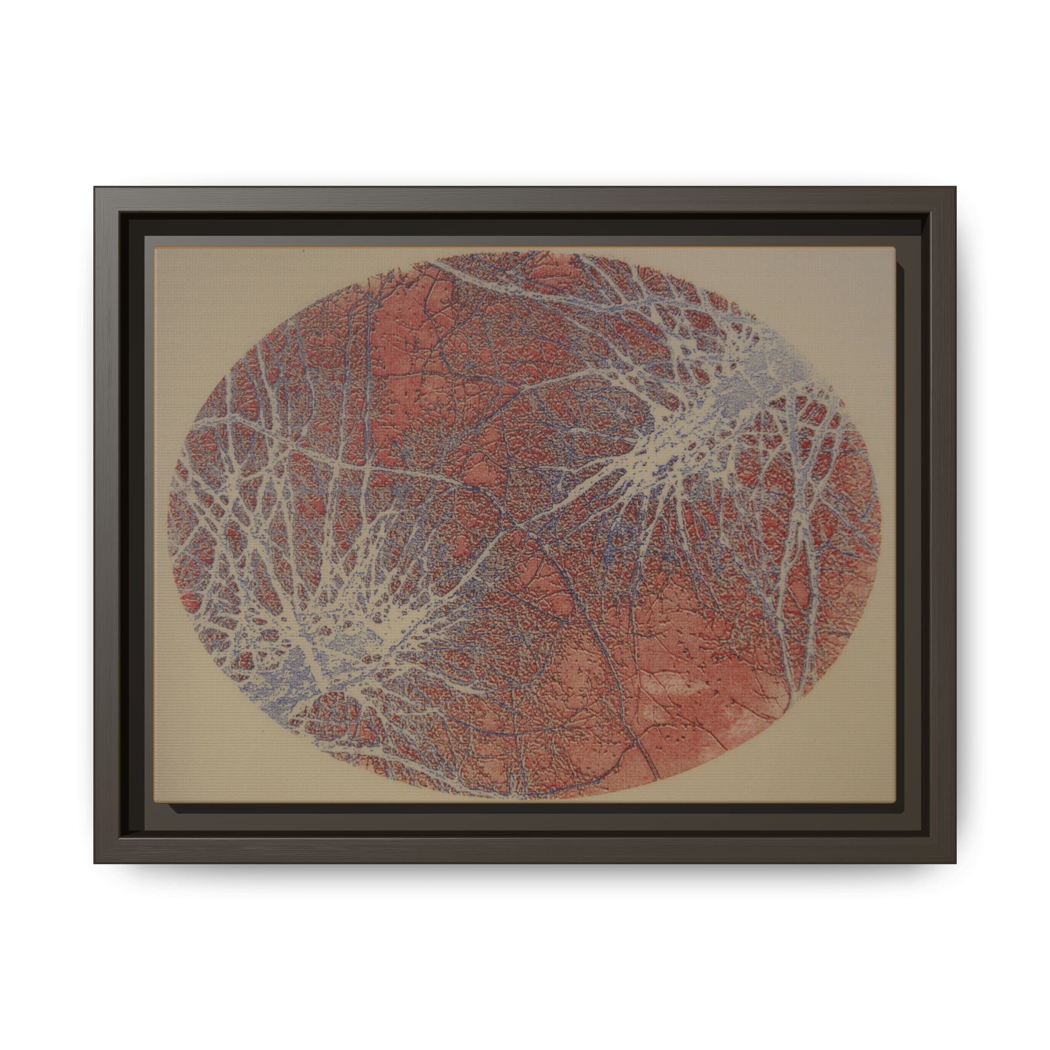 Abstract Botanical Circle Matte Canvas Framed Art — Multi‑Color - no 49