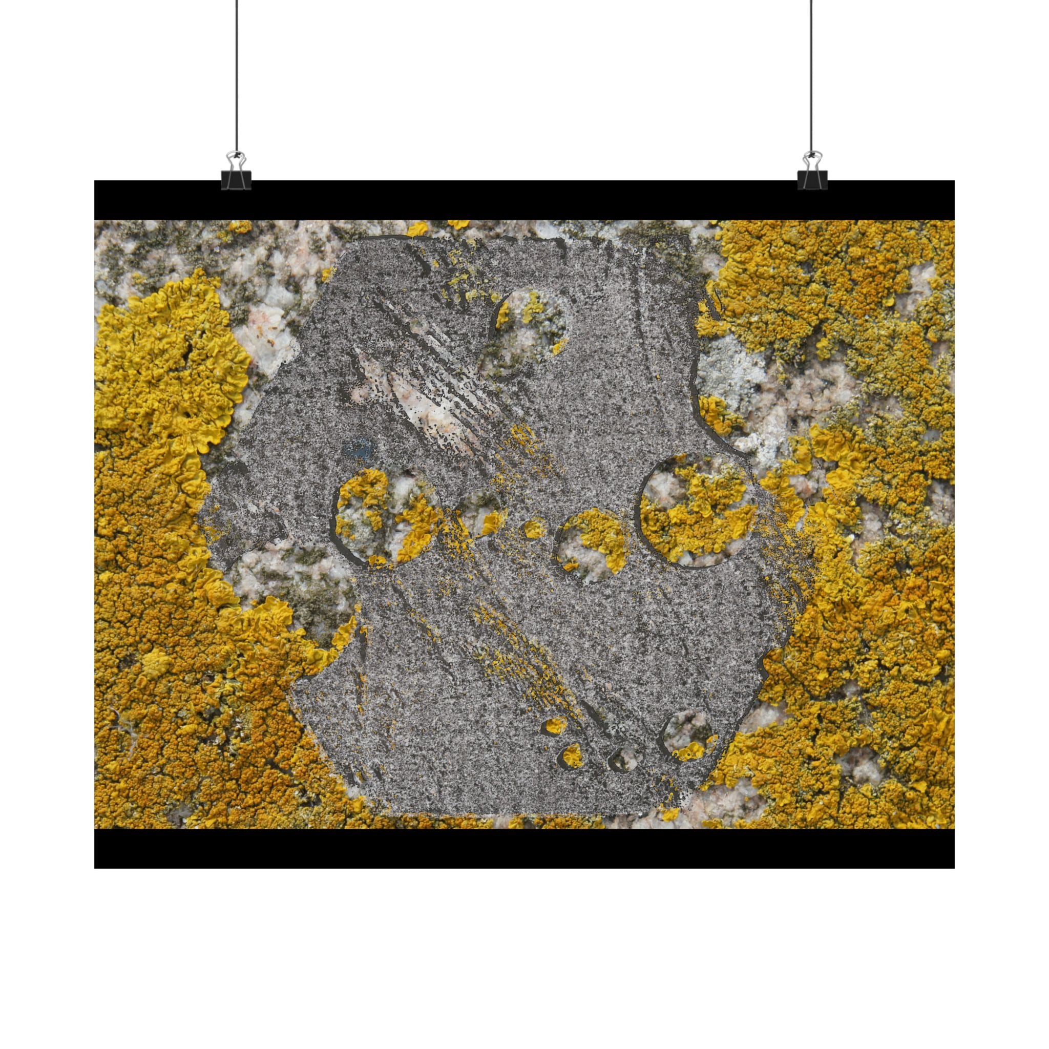 Lichen Texture Matte Poster — Yellow Moss Wall Art (Horizontal)