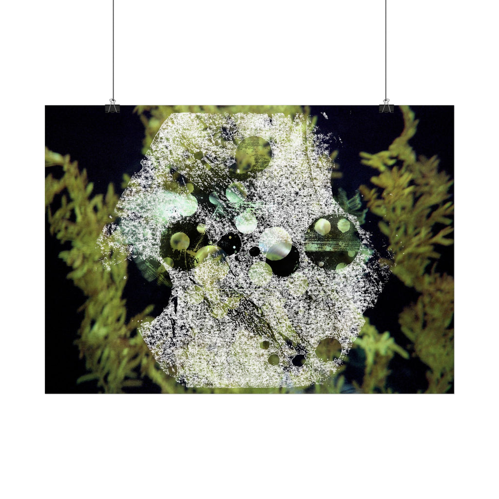 Abstracte poster met groene algen — Botanische oceaan muurdecoratie (horizontaal) 
