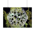 Abstracte groene bubbelkunstposter — Horizontale wandprint 