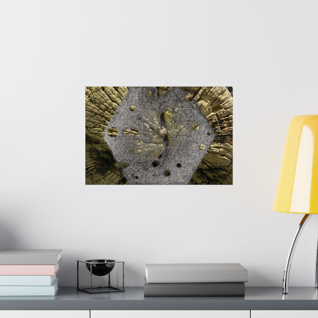 Weathered Tree Cross-Section Poster | Matte Horizontal Wall Art