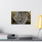Weathered Tree Cross-Section Poster | Matte Horizontal Wall Art