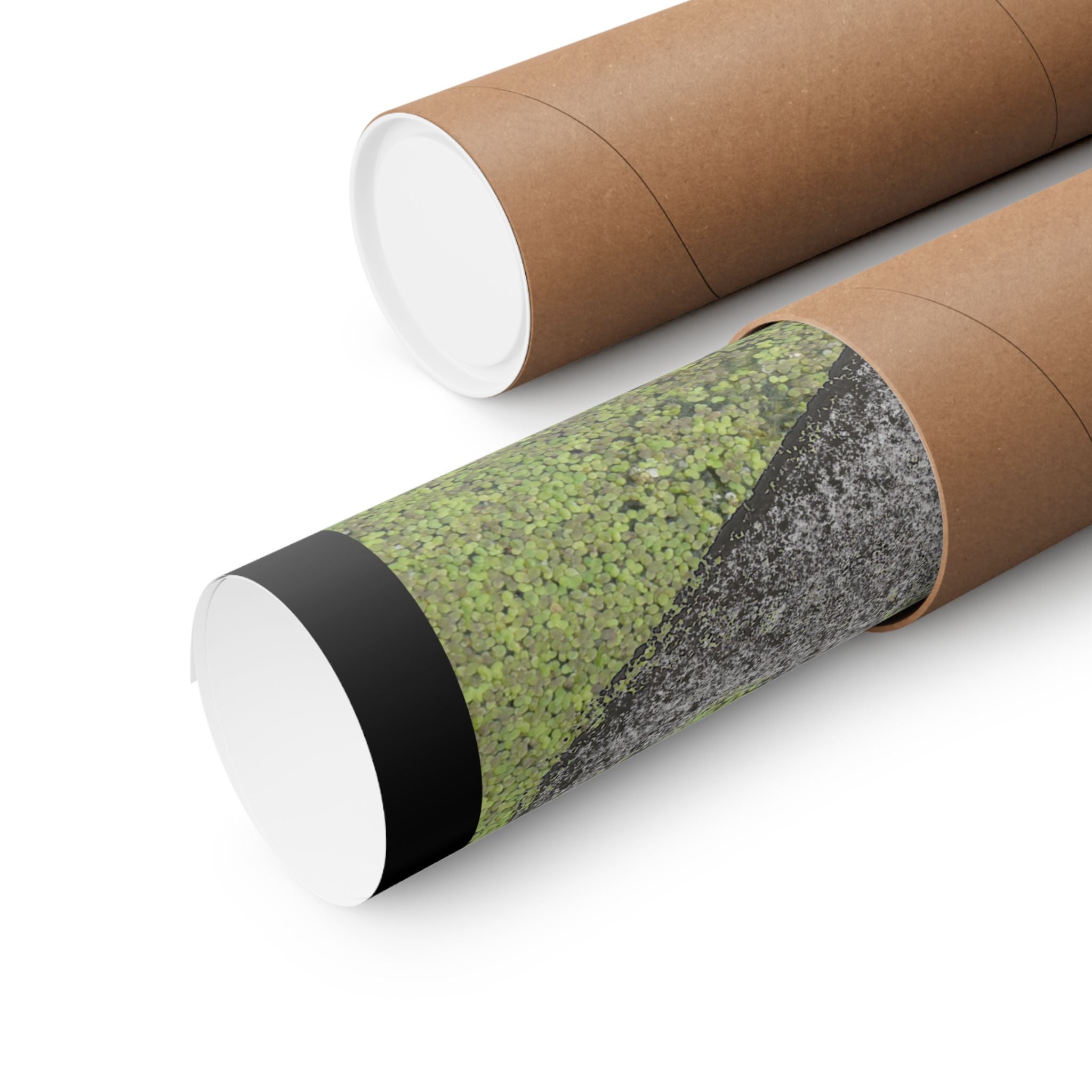 Mossy Stone Crest Poster — Matte Vertical Wall Art