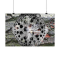 Dandelion Seed Macro Poster — Matte Horizontal Nature Wall Art