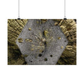 Weathered Tree Cross-Section Poster | Matte Horizontal Wall Art