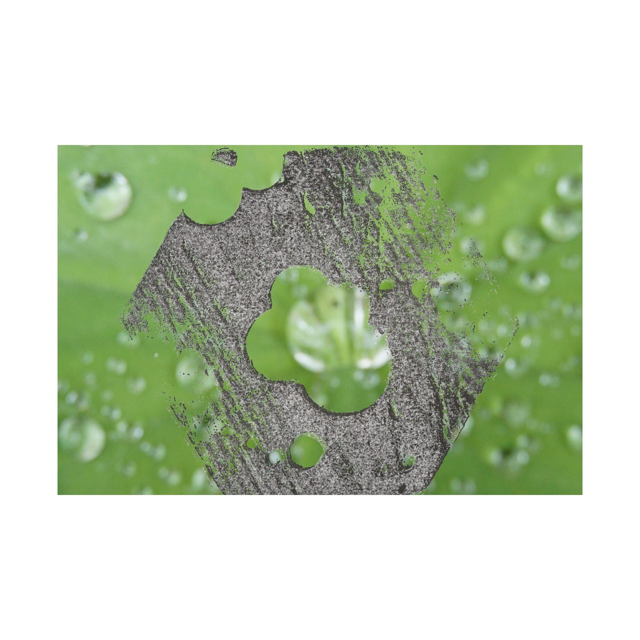 Dewy Leaf Macro Matte Horizontal Posters | Nature Water Droplet Wall Art