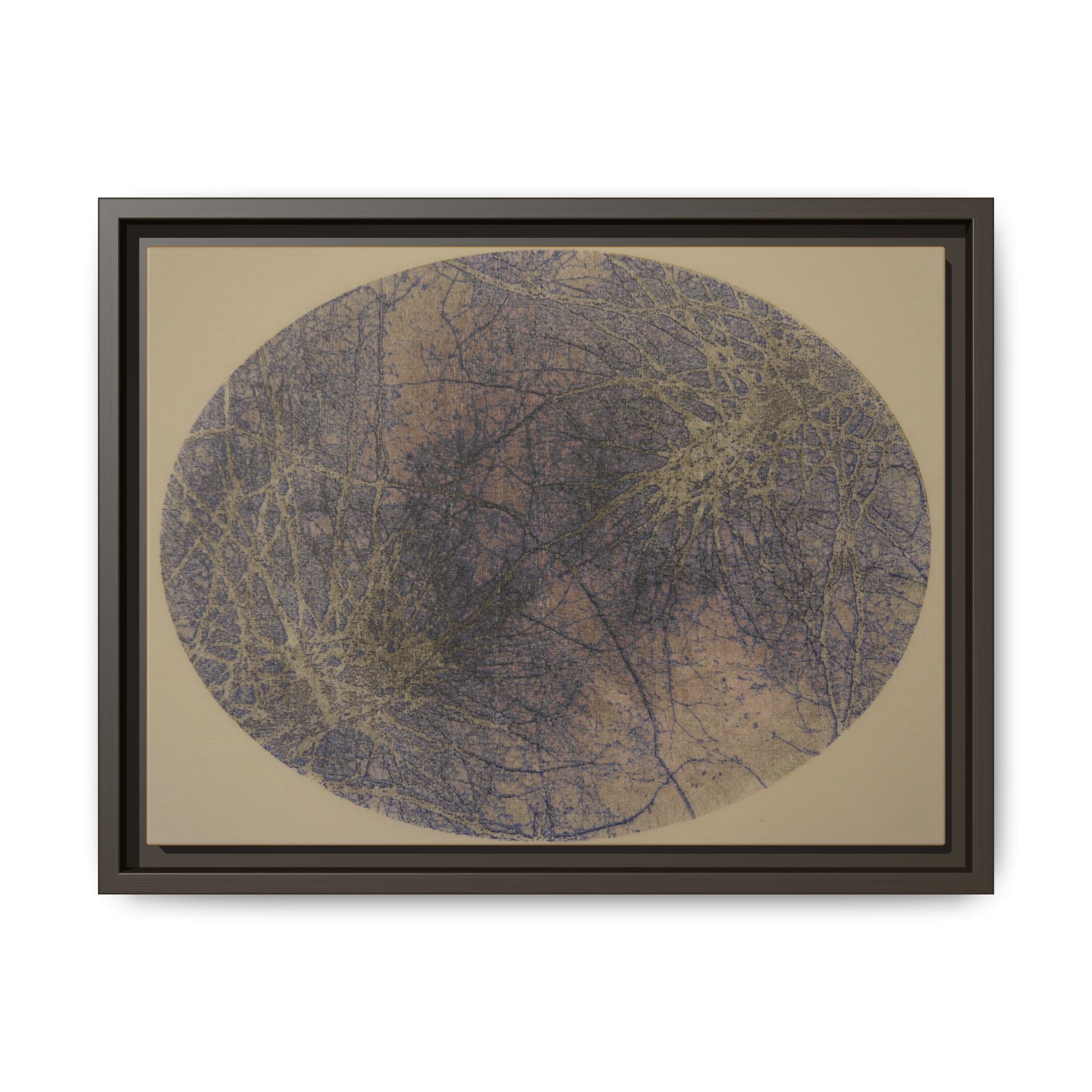 Abstract Botanical Circle Matte Canvas Framed Art - no 42