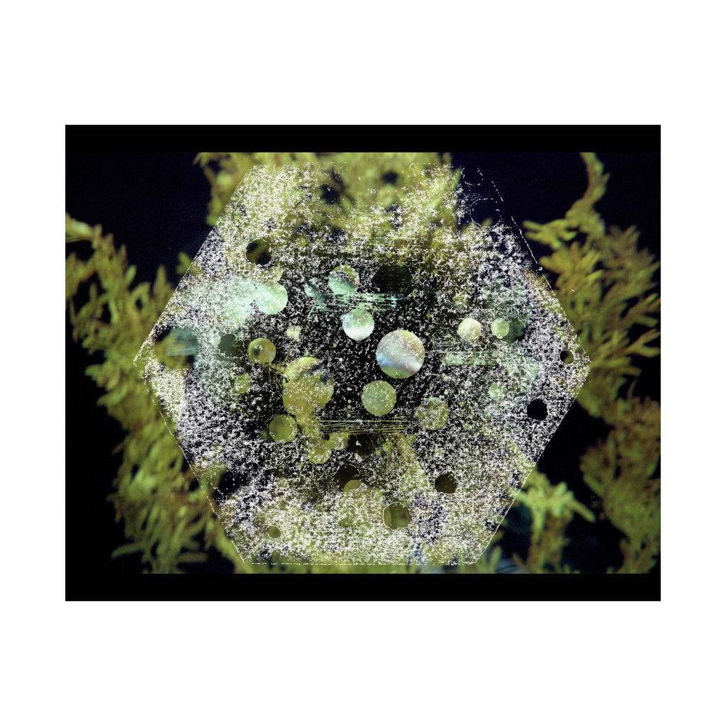 Abstract Green Hexagon Matte Poster — Botanical Geometric Wall Art