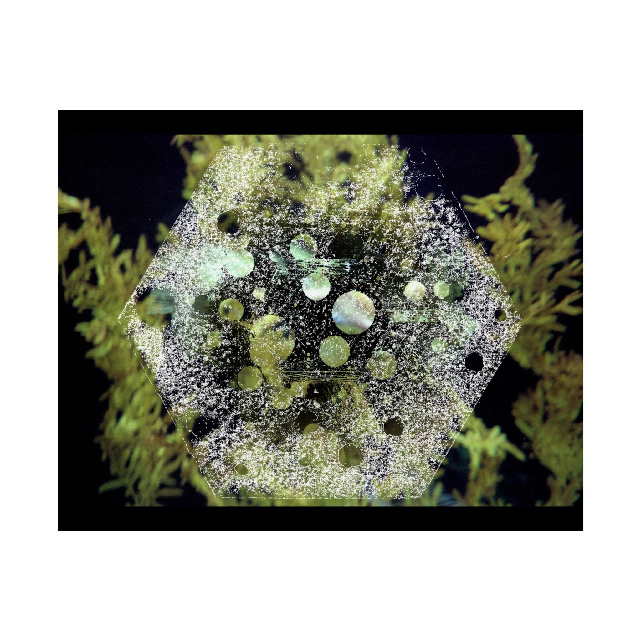 Abstract Green Hexagon Matte Poster — Botanical Geometric Wall Art