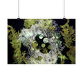 Abstracte natuurcollage, matte horizontale poster 