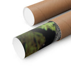Abstracte poster met organische textuur en matte afwerking | Horizontale wanddecoratie, geïnspireerd op de natuur 