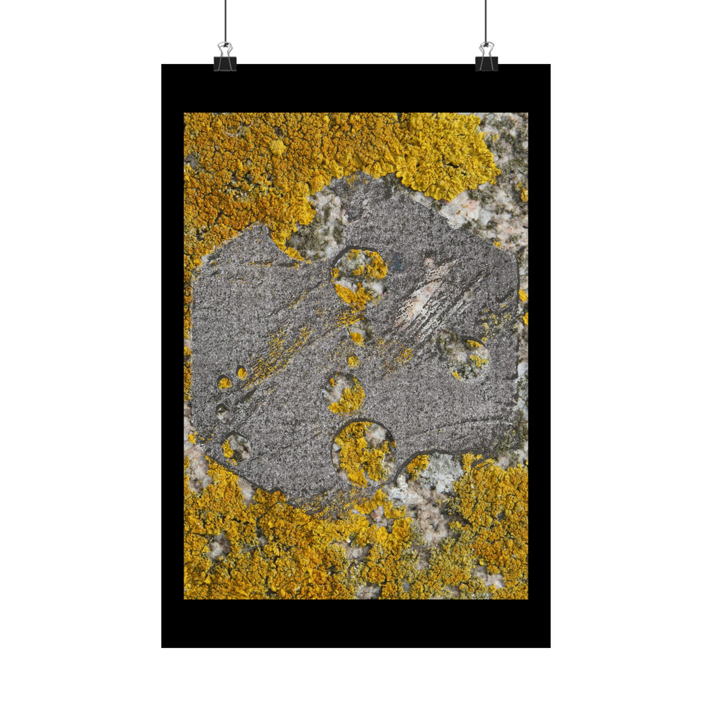 Lichen Texture Matte Poster — Yellow & Gray Nature Wall Art