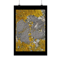 Lichen Texture Matte Poster — Yellow & Gray Nature Wall Art